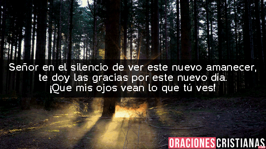 amanecer